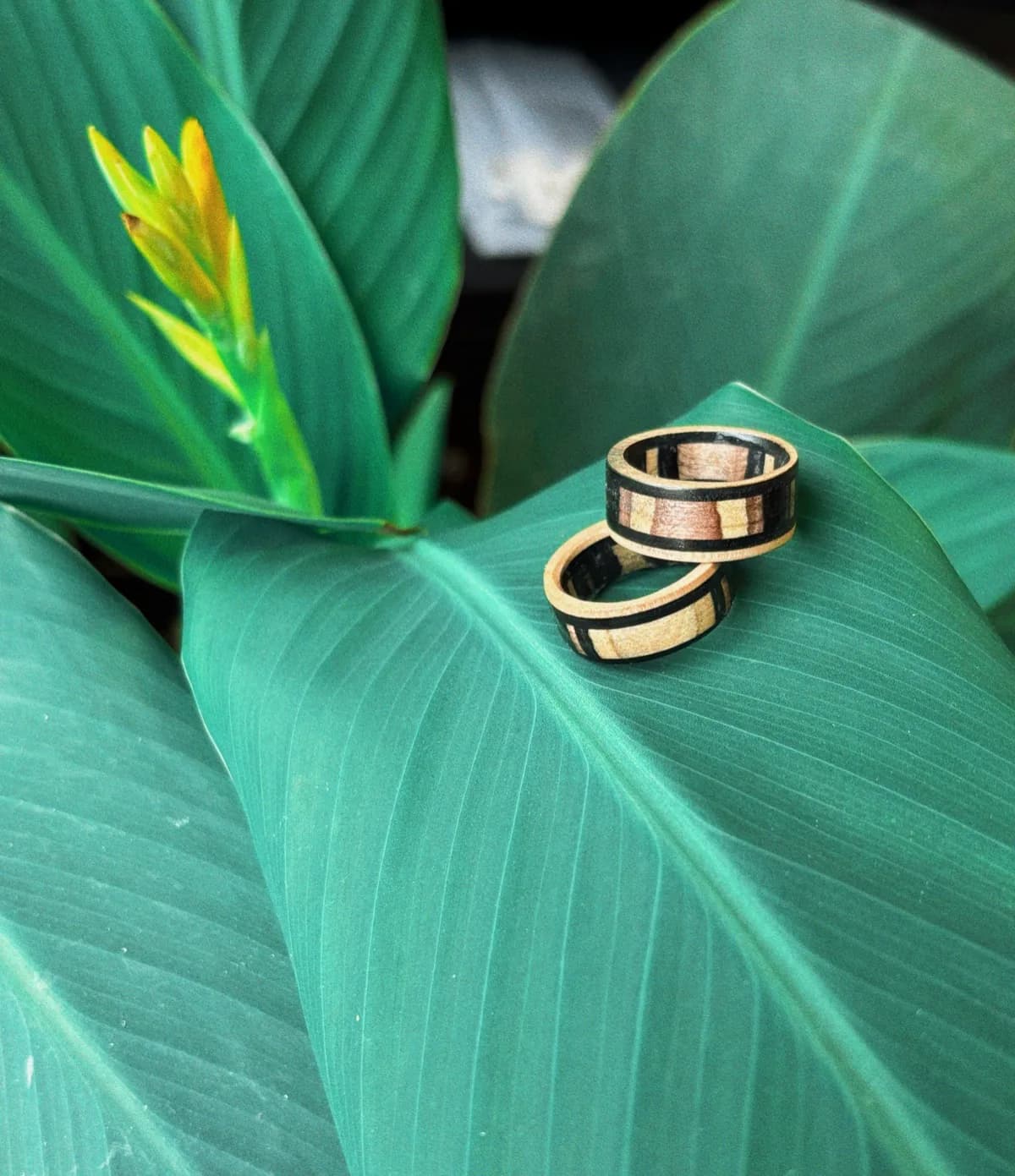 Moztom | Recycled Skateboard Ring material and story detail