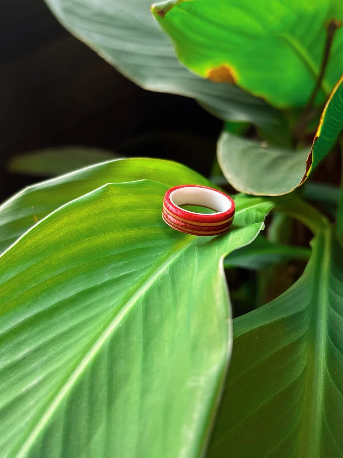 The Ceramic Rose | Men's Wedding Band material and story detail