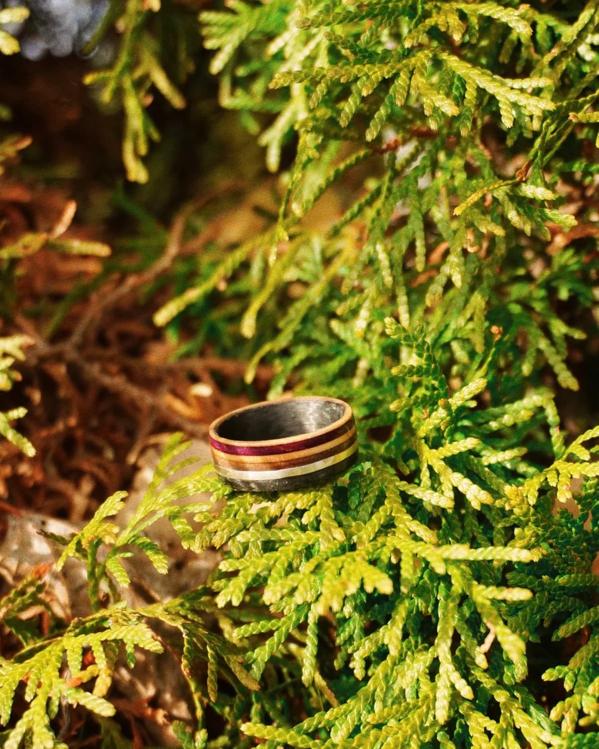 The Lunar Ring | Men's Wedding Band material and story detail