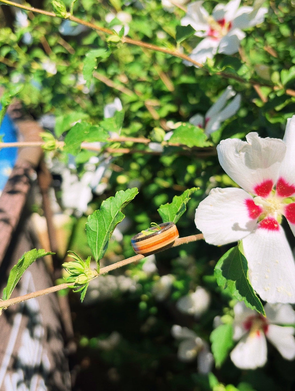 Monarch Recycled Skateboard Ring on a flower branch