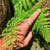 Pura Vida Recycled Skateboard Ring product photo
