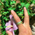 Reb Earth Ring product photo