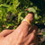 Organic Recycled Skateboard Ring product photo