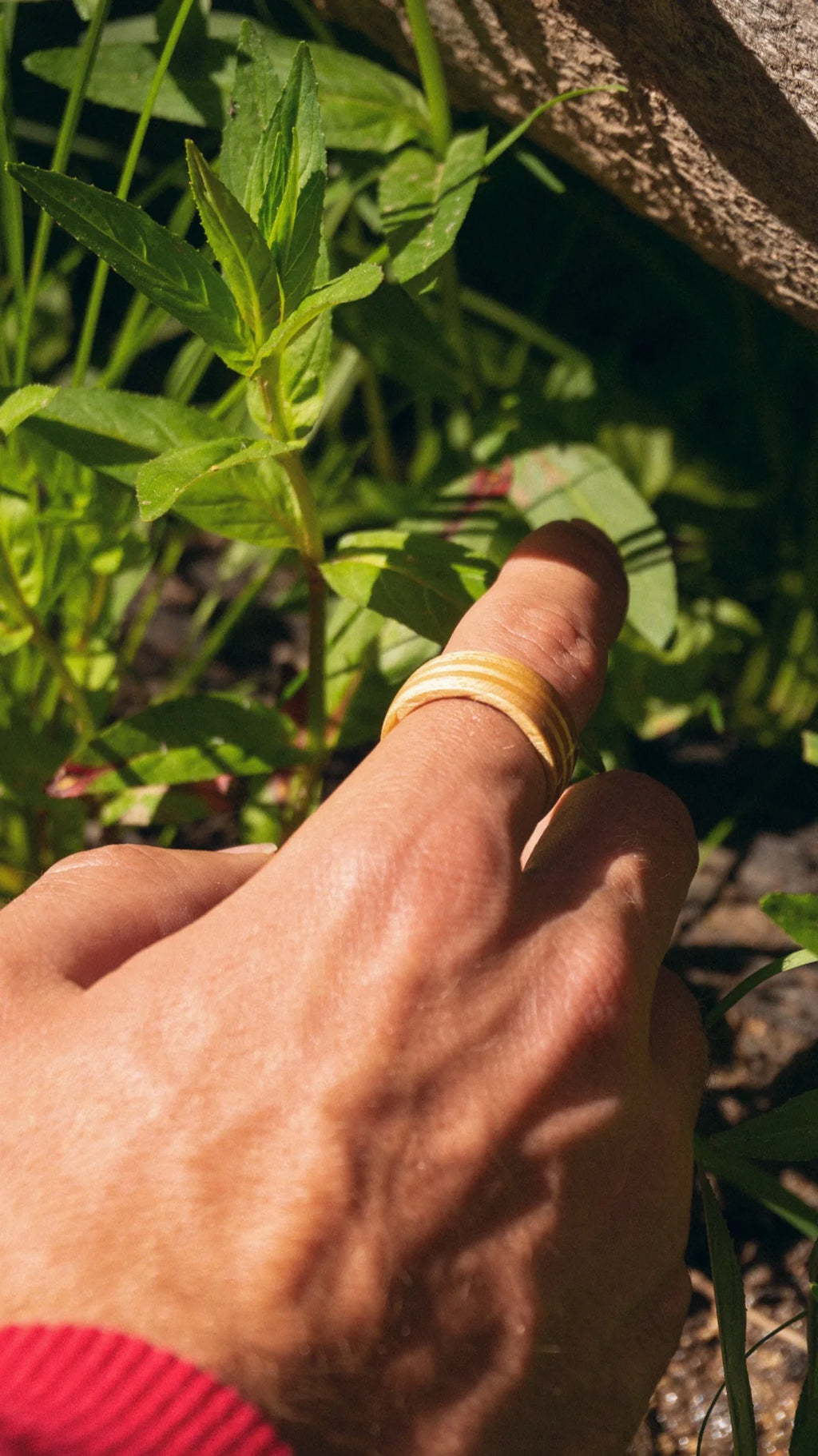 Organic Recycled Skateboard Ring product photo