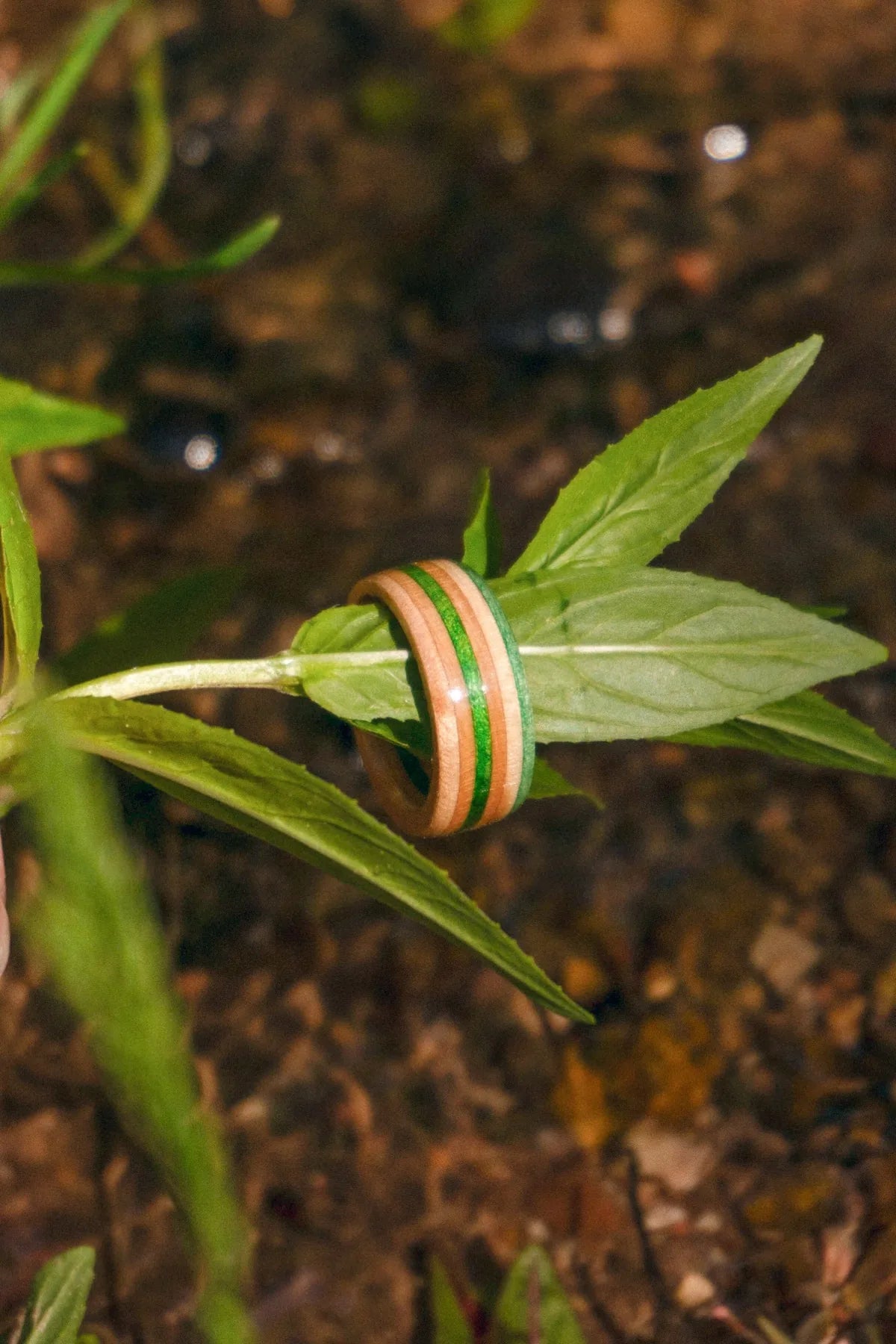 Pine Haze Recycled Skateboard Ring product photo