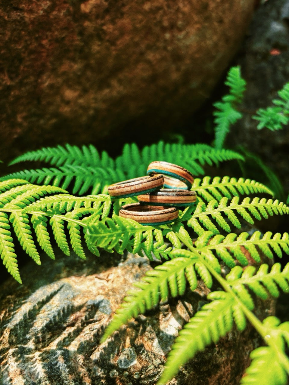 Pura Vida Recycled Skateboard Ring stacked on fern leaves