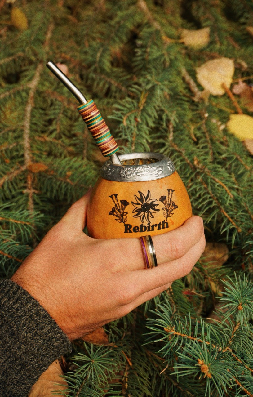 Rebirth Mate Gourd and Bombilla Set held by hand against evergreen branches