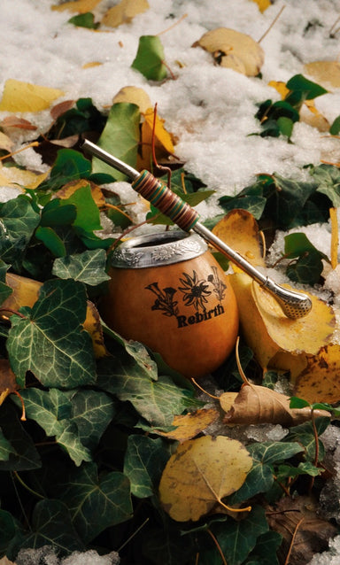 Rebirth Mate Gourd and stainless steel bombilla with recycled skateboard bead inlay in snow and leaves