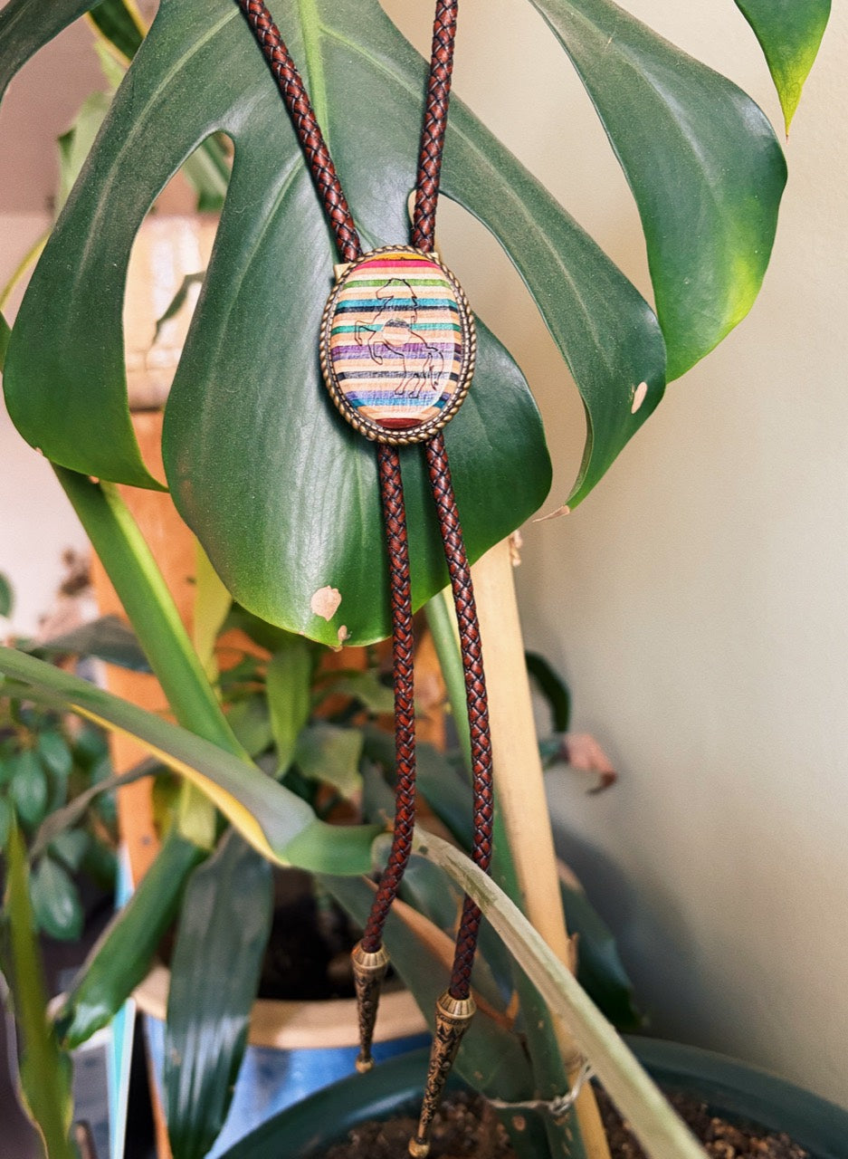 Recycled Skateboard Bolo Tie hanging on green plant leaves